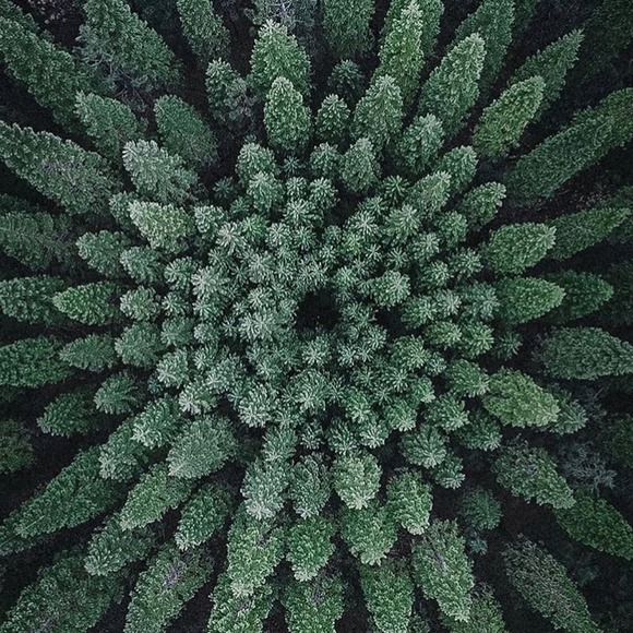 Meet your Posher, • esmeralda - Picture 1 of 1